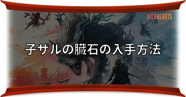 子ザルの臓石の入手方法