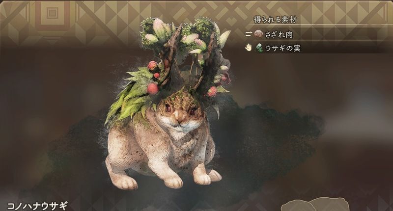 コノハナウサギ