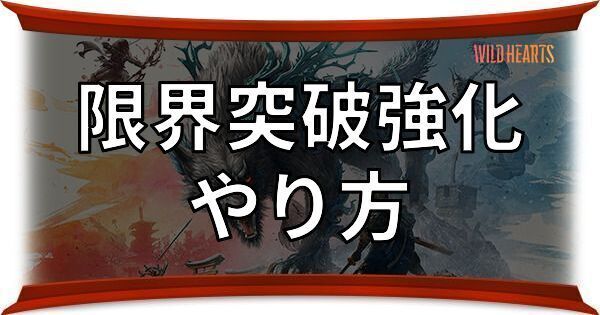 限界突破強化のやり方と心珠の入手方法