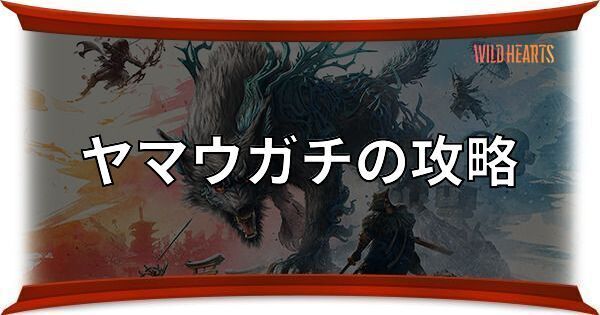 ヤマウガチの攻略