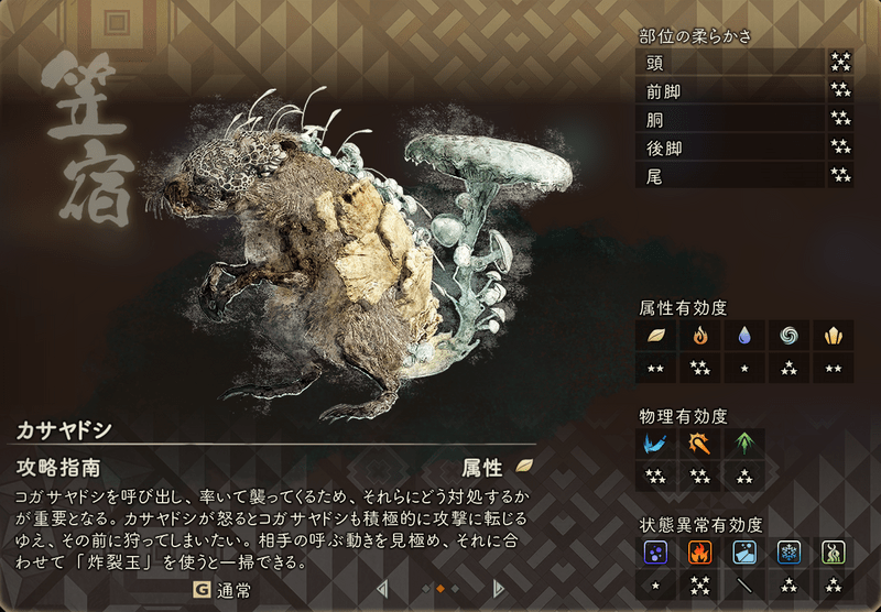 カサヤドシの基本情報