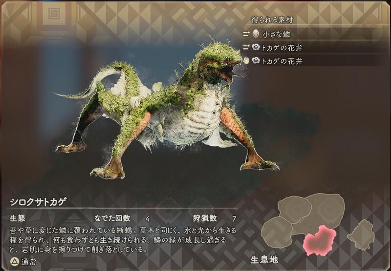 シロクサトカゲ