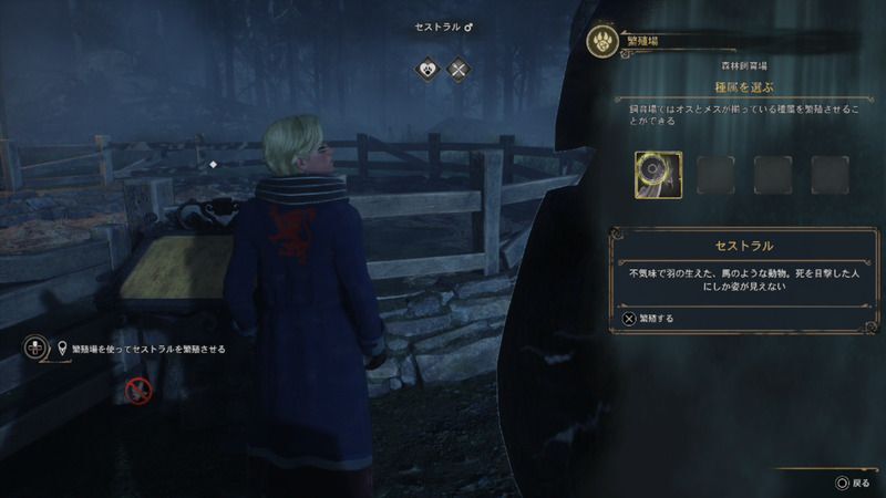 セストラルの子供をつくる