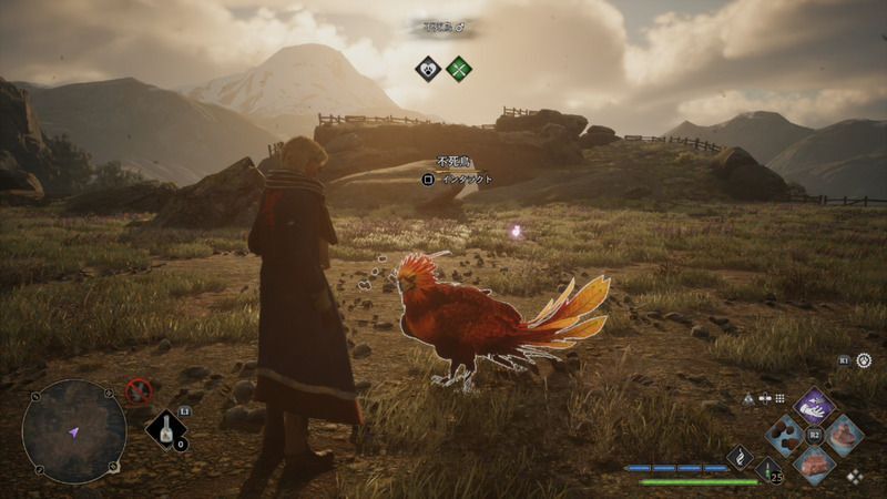 不死鳥から採集