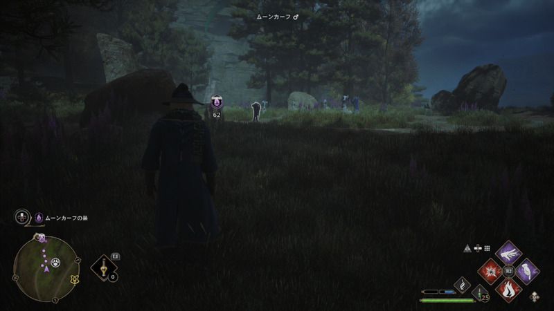 ムーンカーフの巣