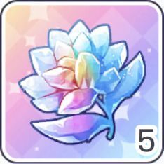 スターの煌き×5