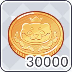 コイン×30000
