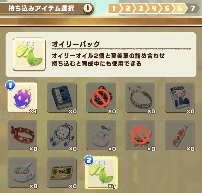 持ち込みアイテム