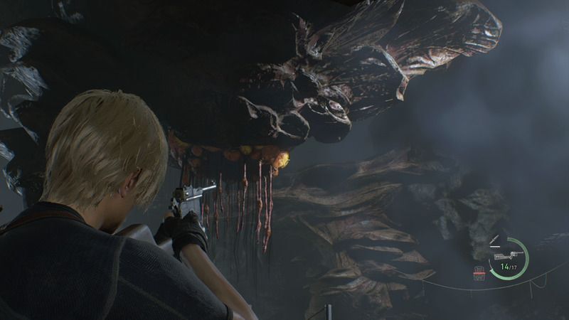 虫の巣の出入り口1