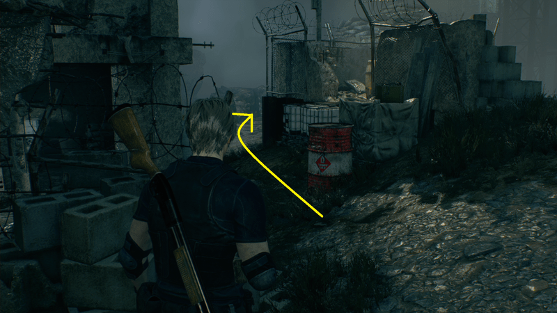 小屋から左のルート