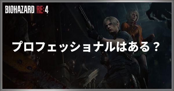 プロフェッショナルはある?