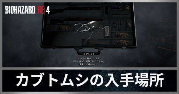 カブトムシの入手場所