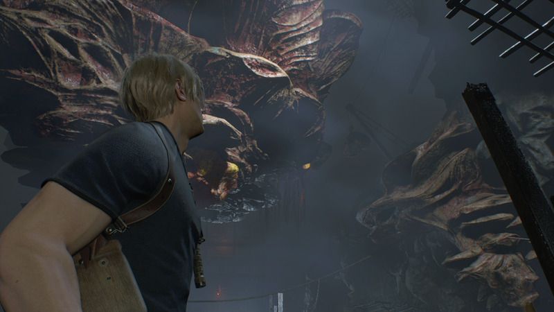 虫の巣の出入り口2