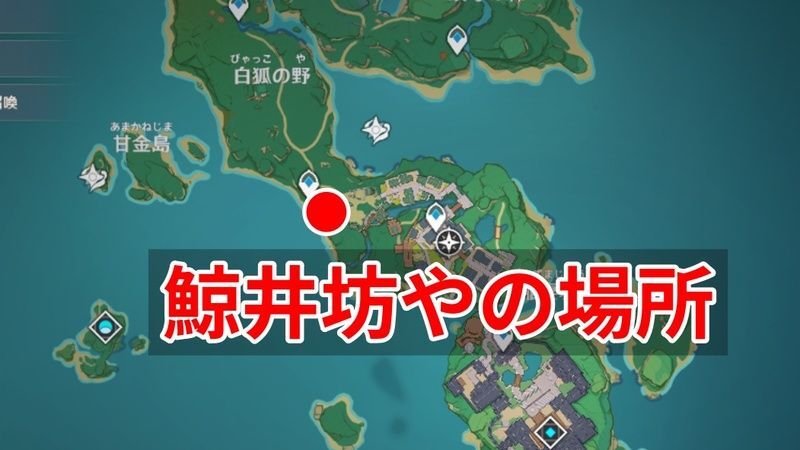 鯨井坊やの場所