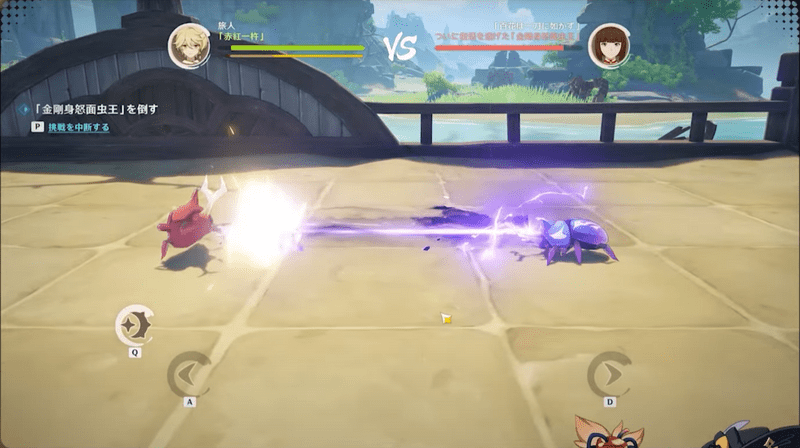 荒瀧煌々虫相撲大修行説明2