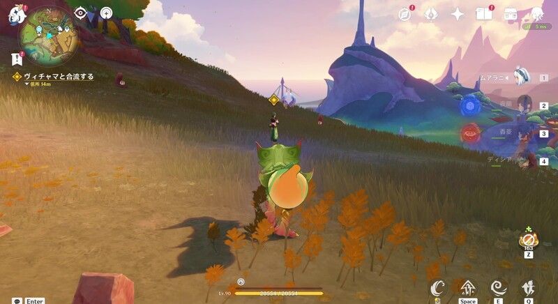 ヴィチャマと合流