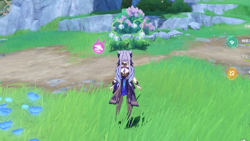 ハート型のルミドゥースベル場所