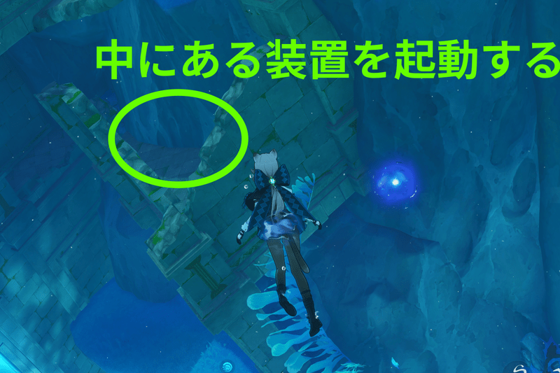 希望の道近くラッコ