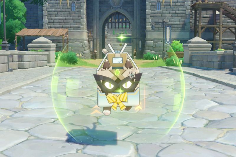 イベント衣装ネコ箱急便状態