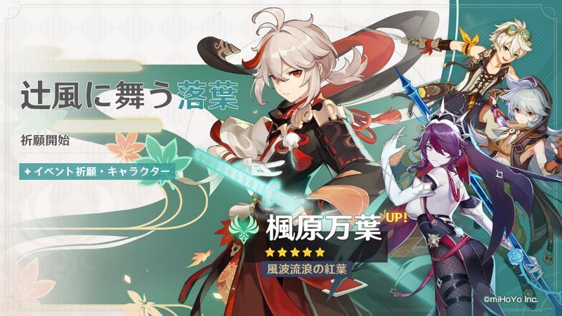 辻風に舞う落葉