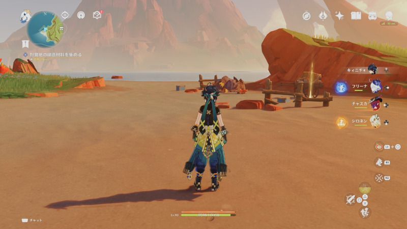 石、ヤシ、竜さらいの受注場所2