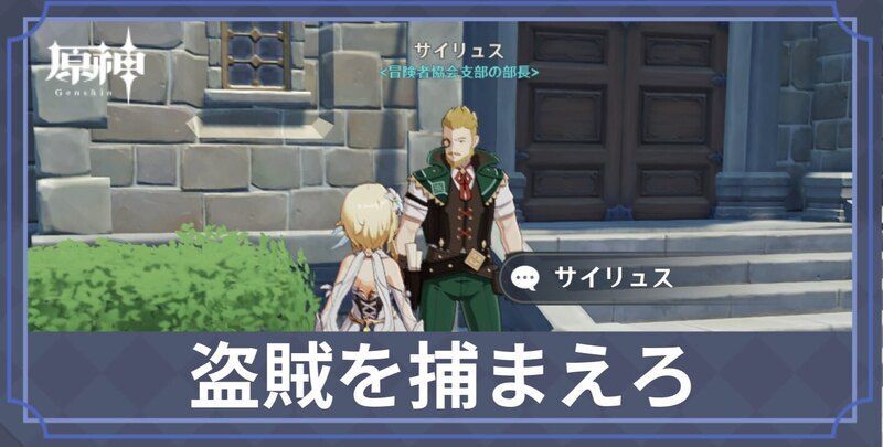 盗賊を捕まえろ