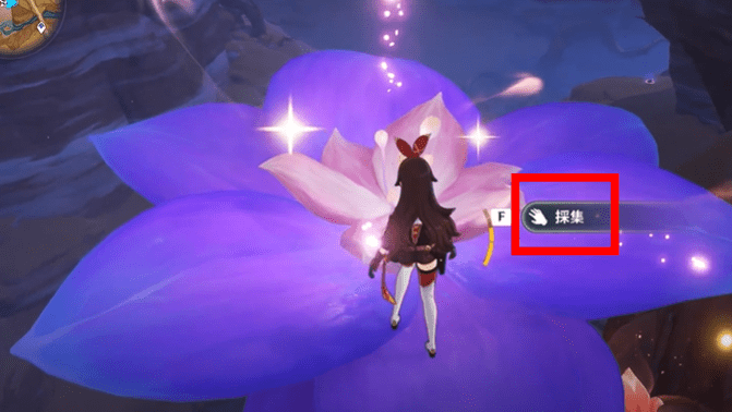 ウドゥンバラの花蕊