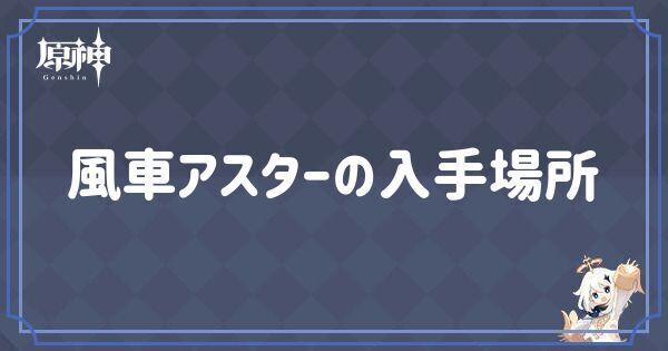 風車アスターの入手場所