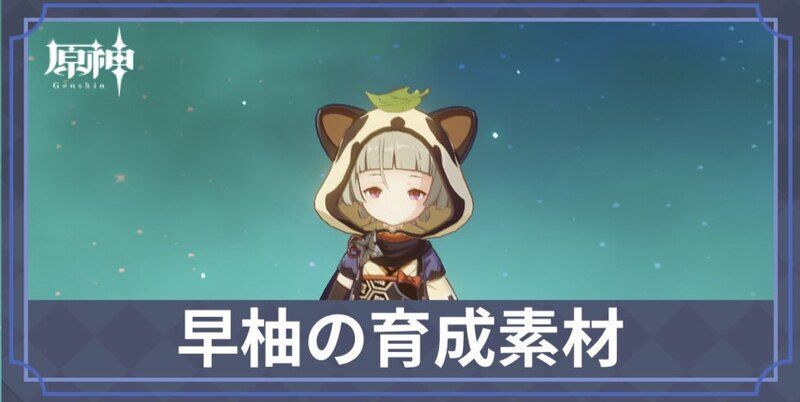 早柚の素材と天賦優先度
