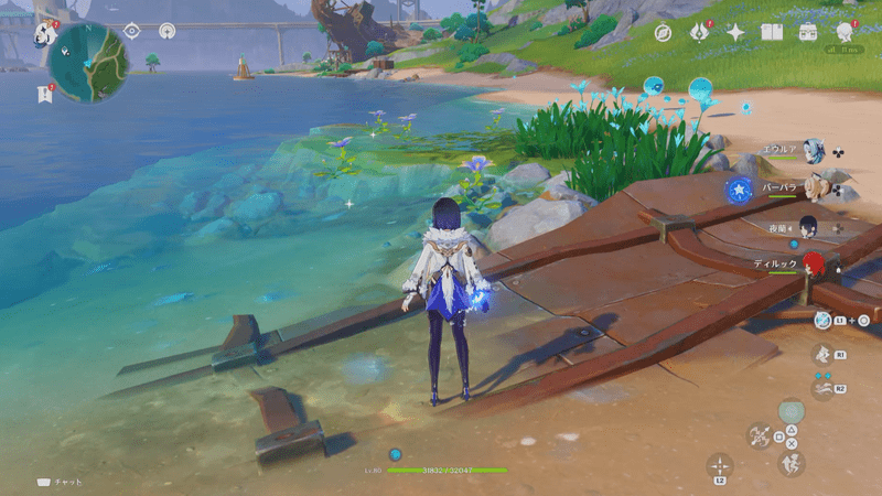 プリュイロータス