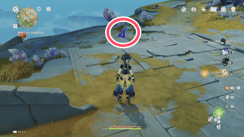 クエニンの場所3（周囲の様子）