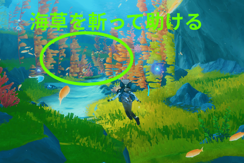 タラッタ海底谷近くラッコ