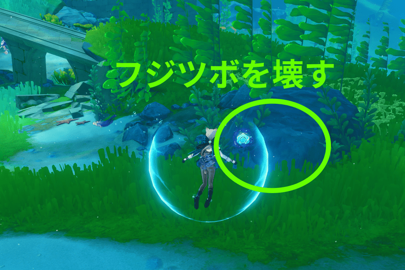 フォンテーヌ廷南ラッコ