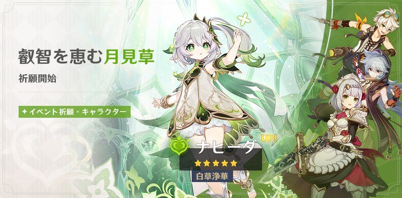 叡智を恵む月見草