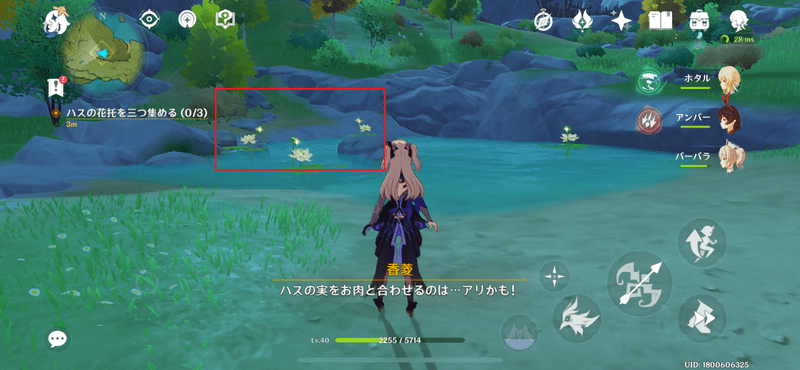 指定のエリアでハスの花托を3つ入手する