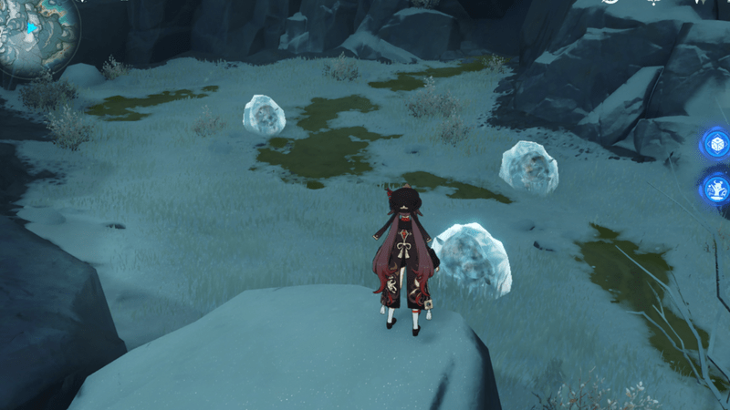 凍結したイノシシ