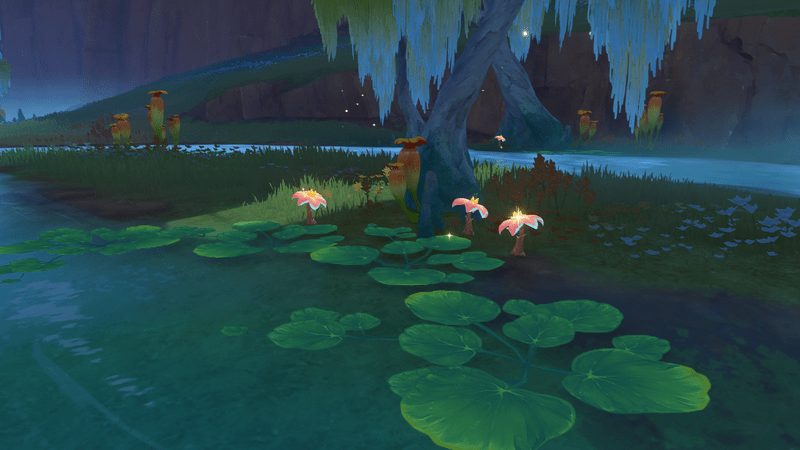 シャクギク場所