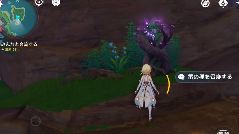 近くにある雷の種