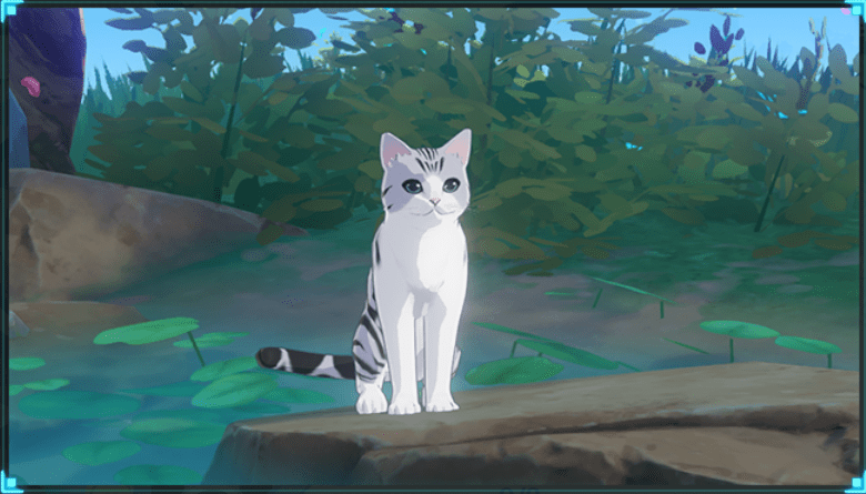 猫を2種類撮影する