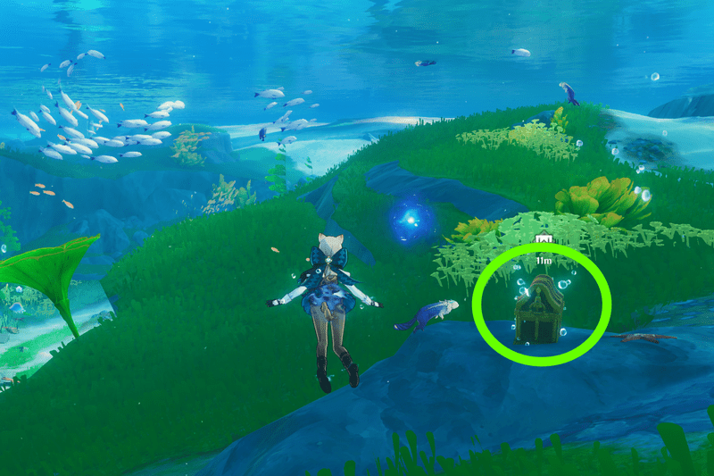 エピクレシス歌劇場近くラッコ