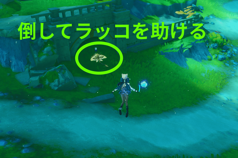 フォンテーヌ廷南ラッコ