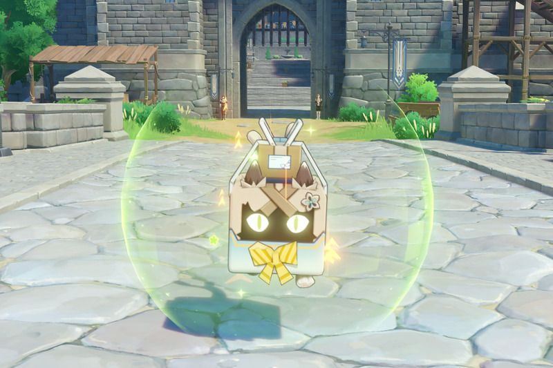 通常衣装ネコ箱急便状態