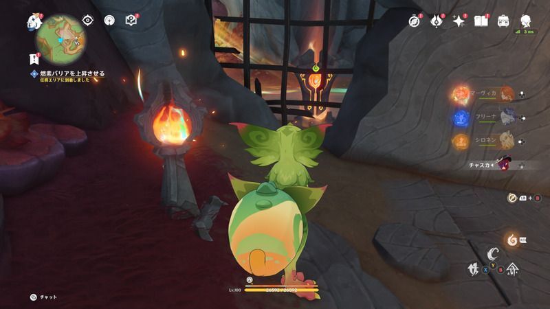 凝固の玉がある裏側