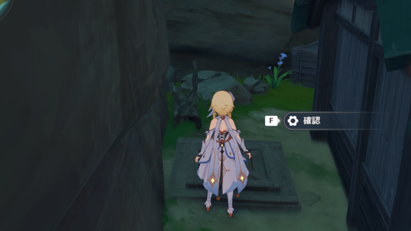 ハリソンの家の裏にある秘密通路に入る