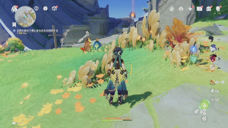 北西の島のギミック攻略1