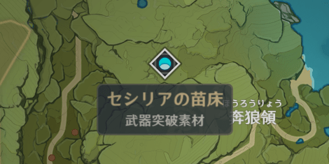 セシリアの苗床