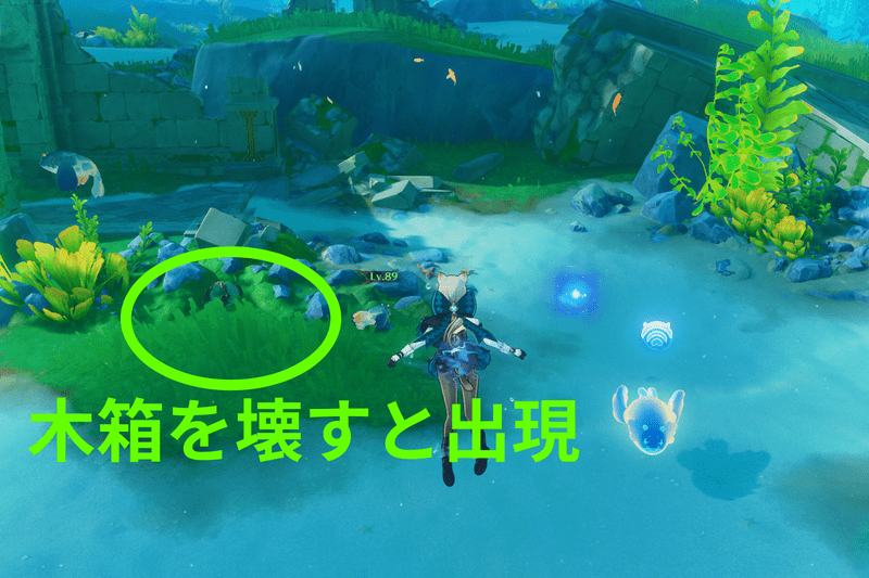 タラッタ海底谷下側ワープポイントラッコ