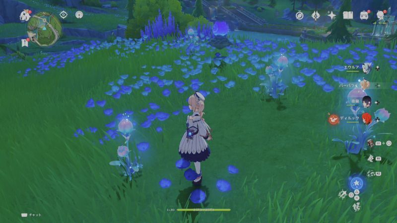 ロマリタイムフラワーの入手方法(地上)