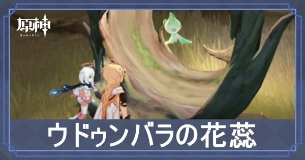 ウドゥンバラの花蕊の場所と使い道