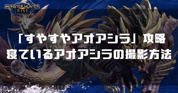 寝ているアオアシラの撮影方法